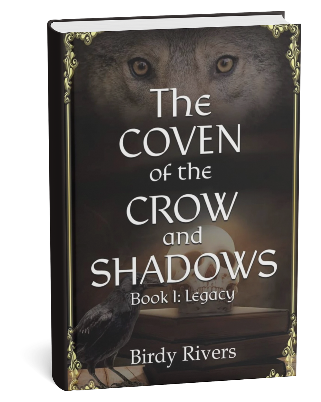 The Coven of the Crow and Shadows book 1 by Birdy Rivers (Dinged)