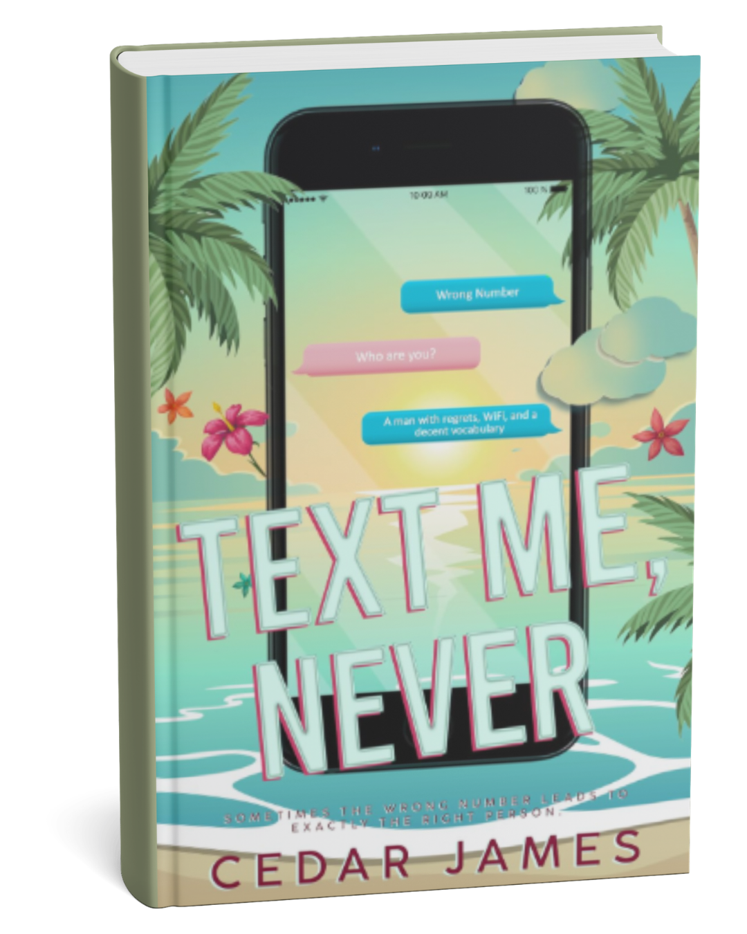 Text Me Never by Cedar James