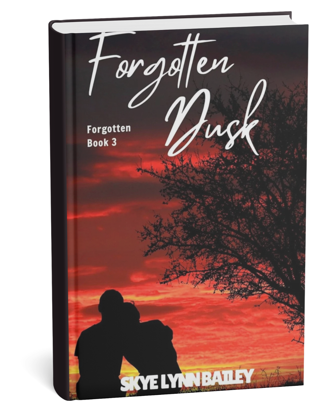 Forgotten Dusk by Skyelynn Bailey