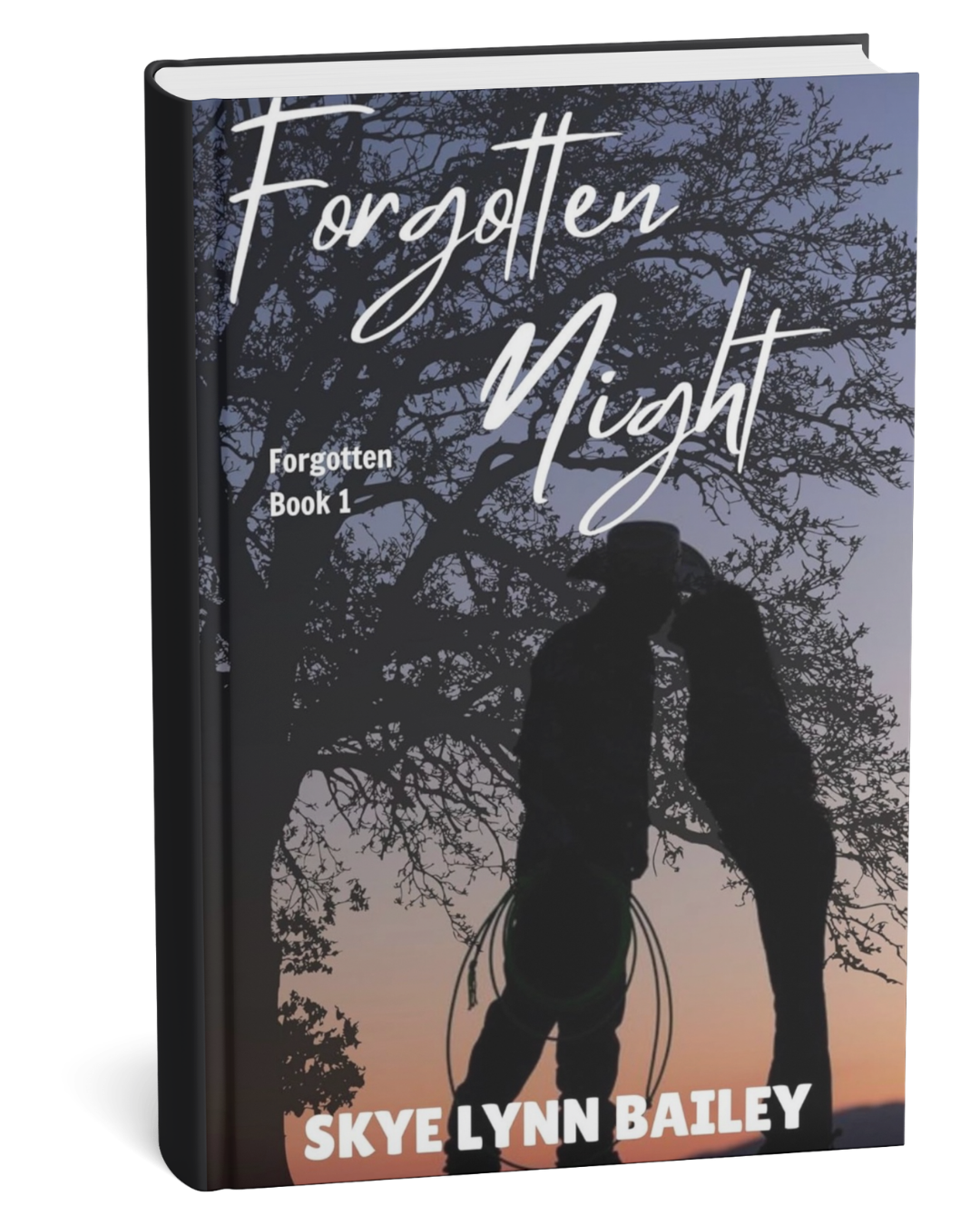 Forgotten Night by Skyelynn Bailey