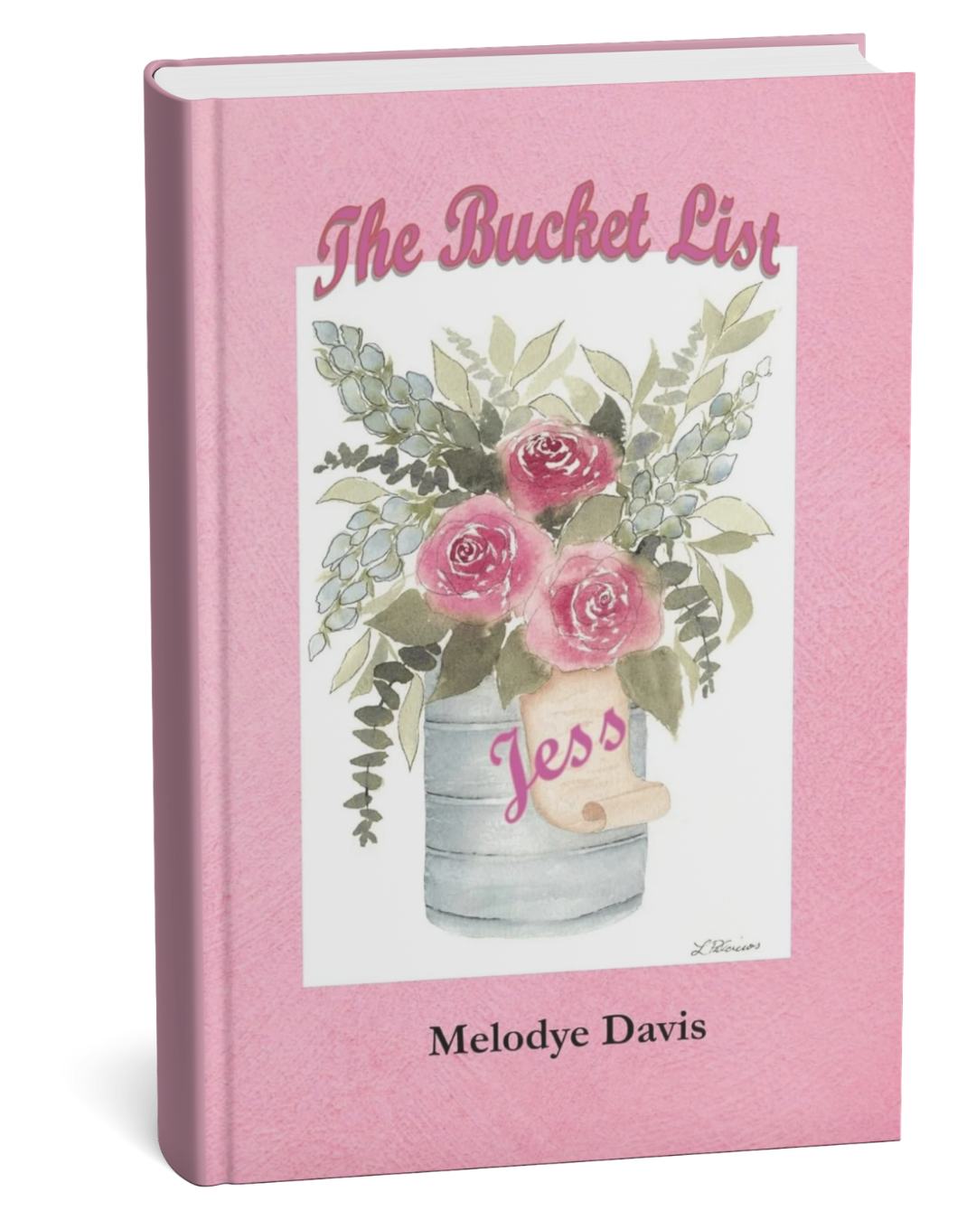 The Bucket List -Jess by Melody Davis (Dinged)