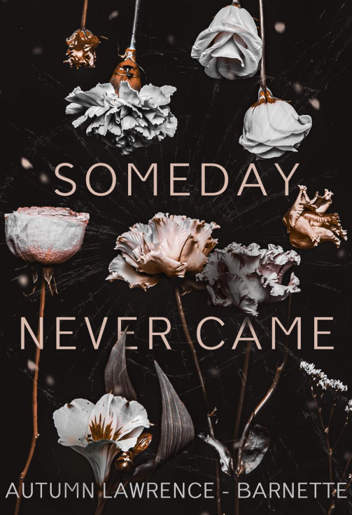 Someday Never Came (Paperback)