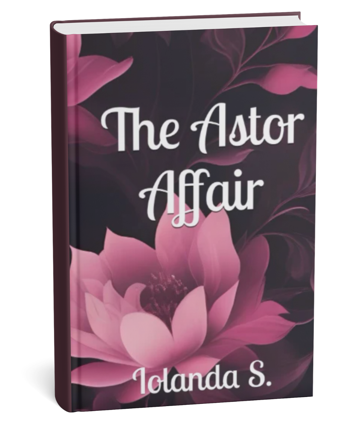 The Astor Affair (Hardback)