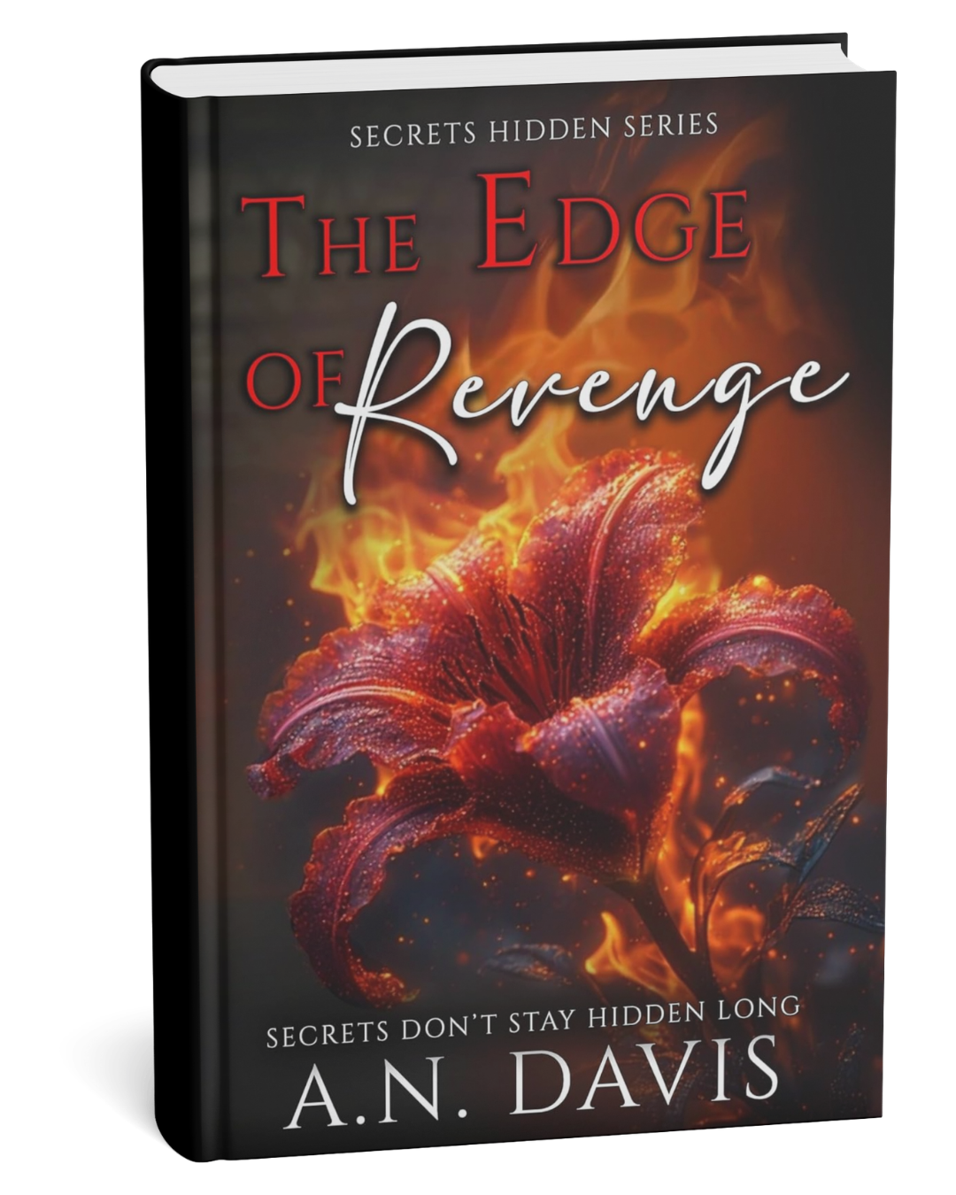 Book cover of 'The Edge of Revenge' by A.N. Davis with fiery design
